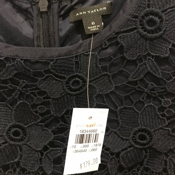Navy Lace Ann Taylor Dress - Picture 4 of 6